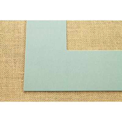 ПАСПАРТУ 2457 2457