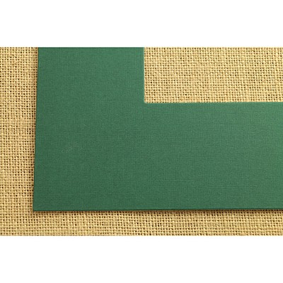 ПАСПАРТУ 2820