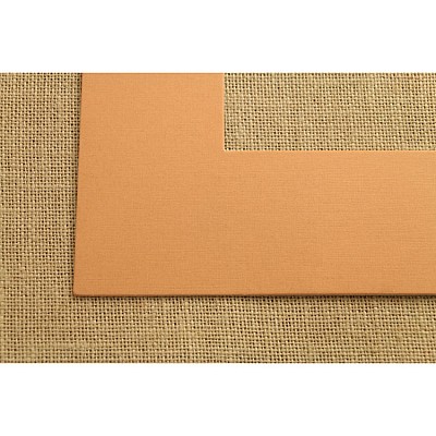 ПАСПАРТУ 2412 ПАСПАРТУ 2412