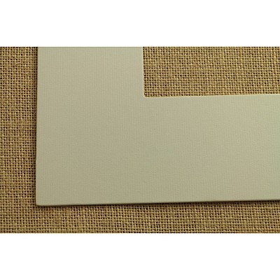 ПАСПАРТУ 2491 2491