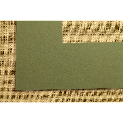 ПАСПАРТУ 2459 2459