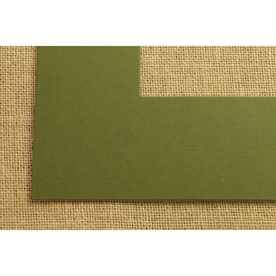 ПАСПАРТУ 2833 2833