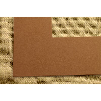 ПАСПАРТУ 2463 2463