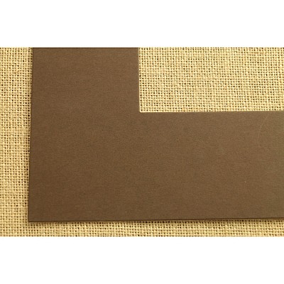 ПАСПАРТУ 2419