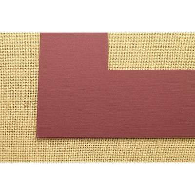 ПАСПАРТУ 2835