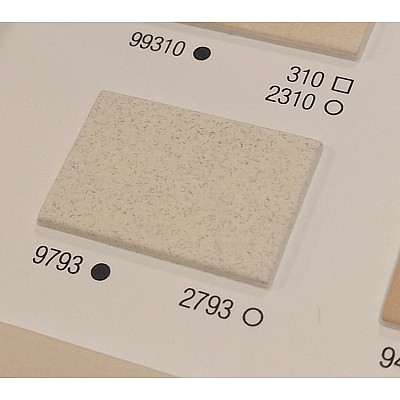 ПАСПАРТУ 2793