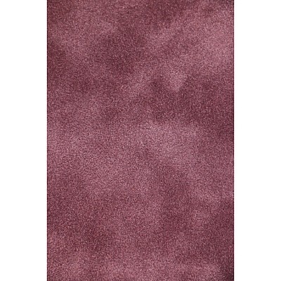 ПАСПАРТУ 198