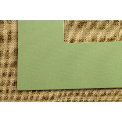 ПАСПАРТУ 2490