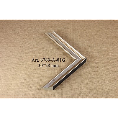 Plastikinis profilis 6769-A-81G