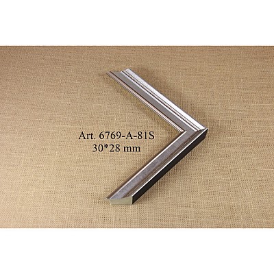 Plastikinis profilis 6769-A-81S